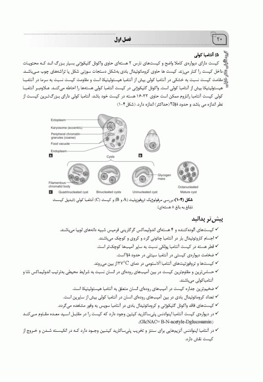 جامع تک‌یاخته شناسی همراه با سوالات تالیفی و نکات کلیدی