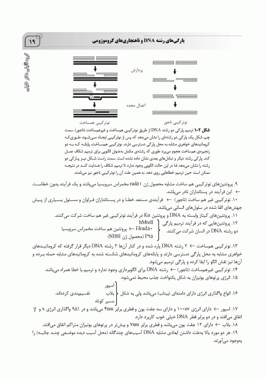 جامع IQB رادیوبیولوژی همراه با سوالات کنکور سال‌های گذشته و سوالات تالیفی
