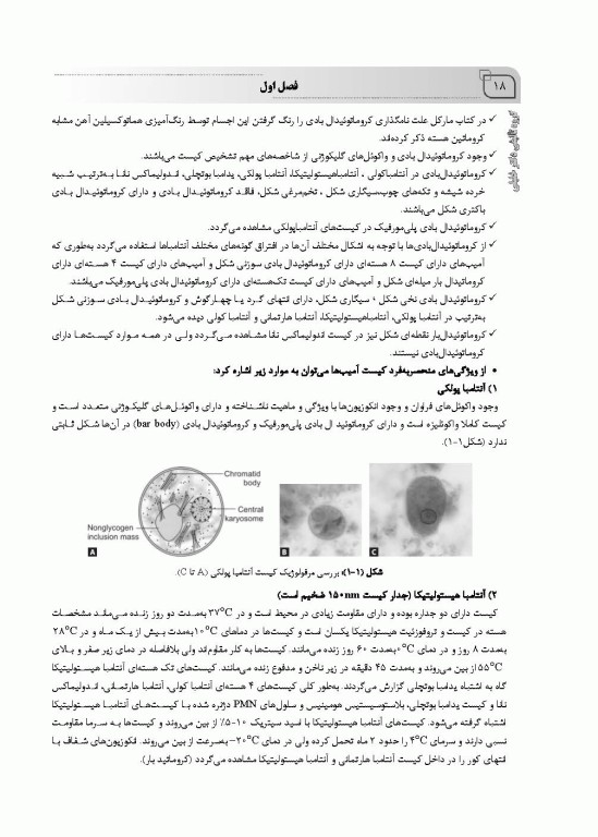 جامع تک‌یاخته شناسی همراه با سوالات تالیفی و نکات کلیدی