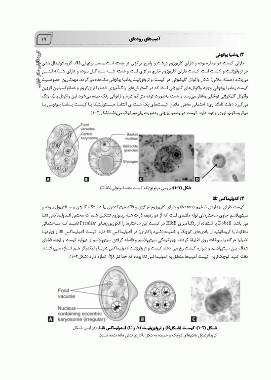 جامع تک‌یاخته شناسی همراه با سوالات تالیفی و نکات کلیدی
