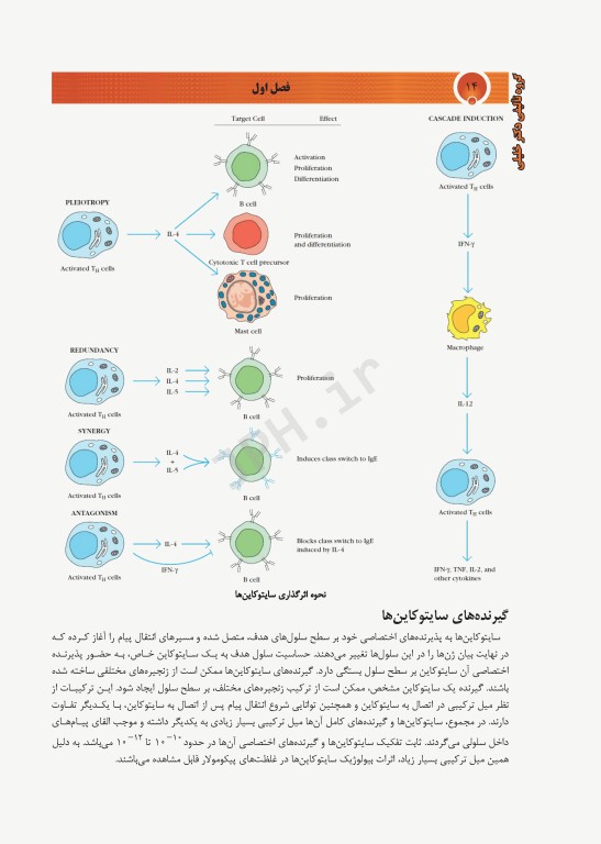 جامع سایتوکاین دکتر خلیلی