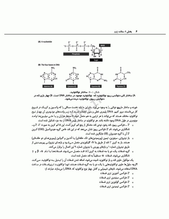 ژنوم 4 ترجمه دکتر نجات مهدیه