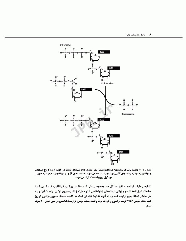 ژنوم 4 ترجمه دکتر نجات مهدیه