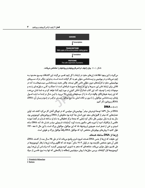 ژنوم 4 ترجمه دکتر نجات مهدیه