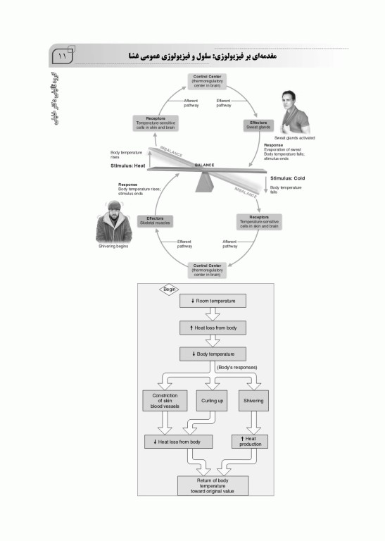 مروری جامع بر فیزیولوژی پزشکی دکتر امید صالحیان