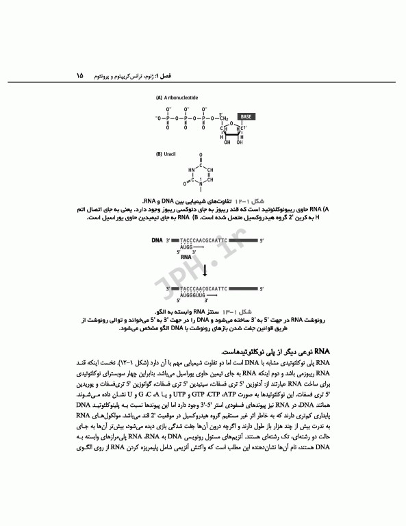 ژنوم 4 ترجمه دکتر نجات مهدیه