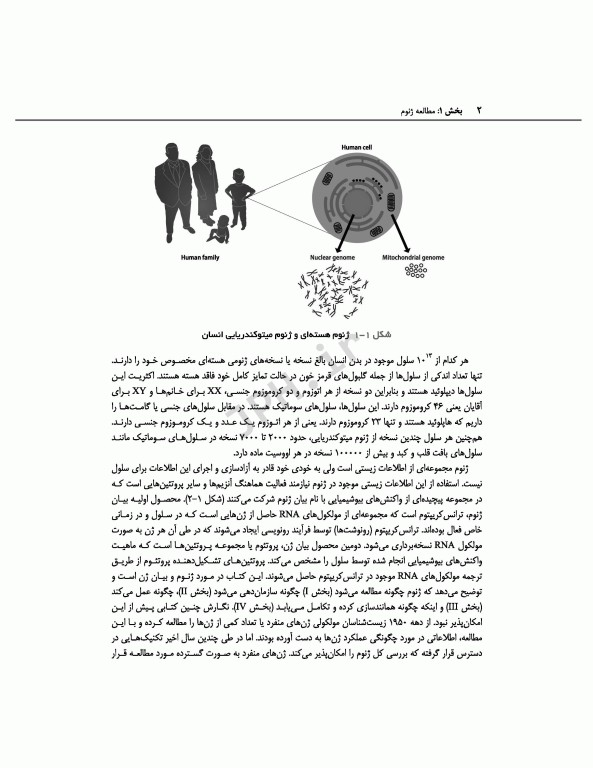 ژنوم 4 ترجمه دکتر نجات مهدیه