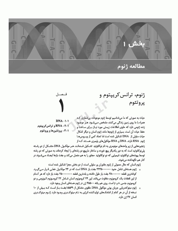 ژنوم 4 ترجمه دکتر نجات مهدیه