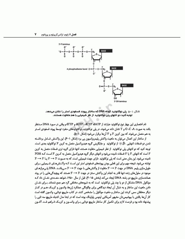 ژنوم 4 ترجمه دکتر نجات مهدیه