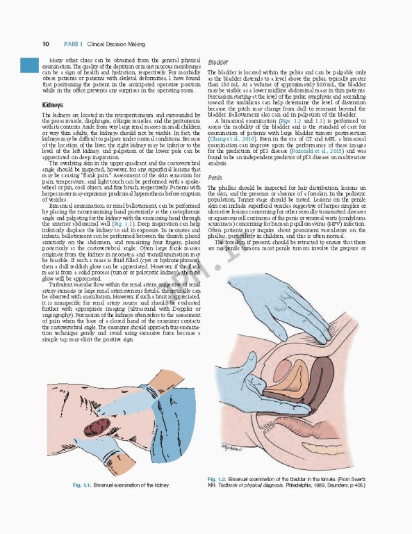 اورولوژی کمپبل2020 | Campbell Walsh Wein Urology