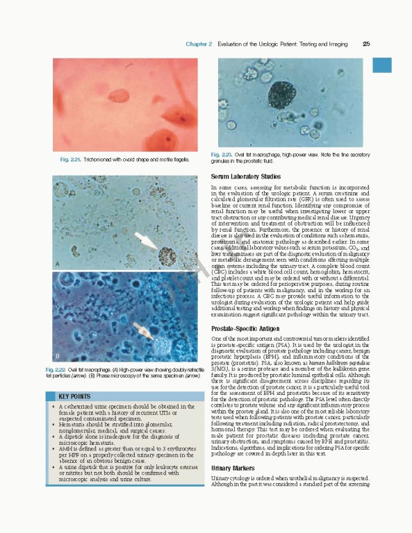 اورولوژی کمپبل2020 | Campbell Walsh Wein Urology