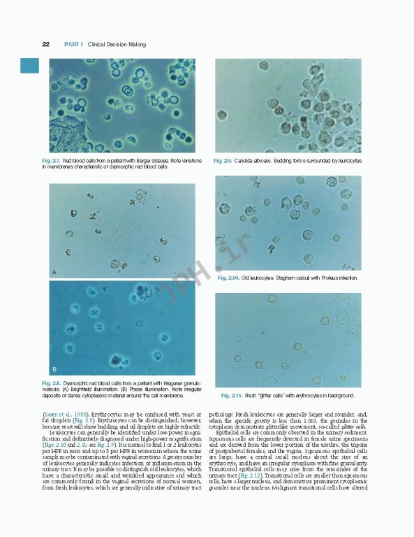 اورولوژی کمپبل2020 | Campbell Walsh Wein Urology