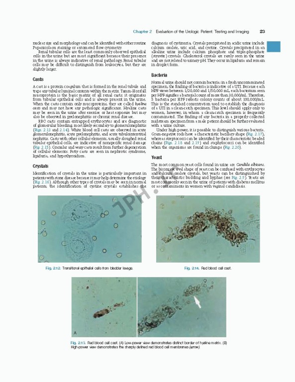 اورولوژی کمپبل2020 | Campbell Walsh Wein Urology