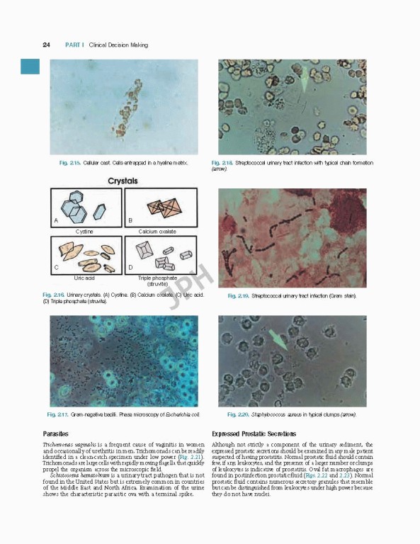 اورولوژی کمپبل2020 | Campbell Walsh Wein Urology