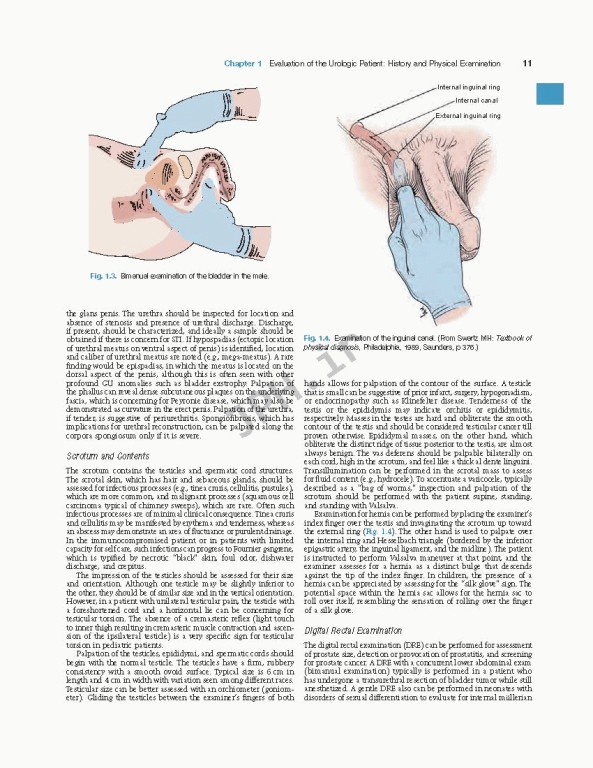اورولوژی کمپبل2020 | Campbell Walsh Wein Urology