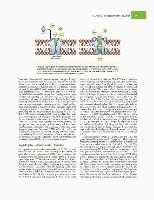 اندوکرینولوژی ویلیامز غدد Williams Textbook of Endocrinology | 2020