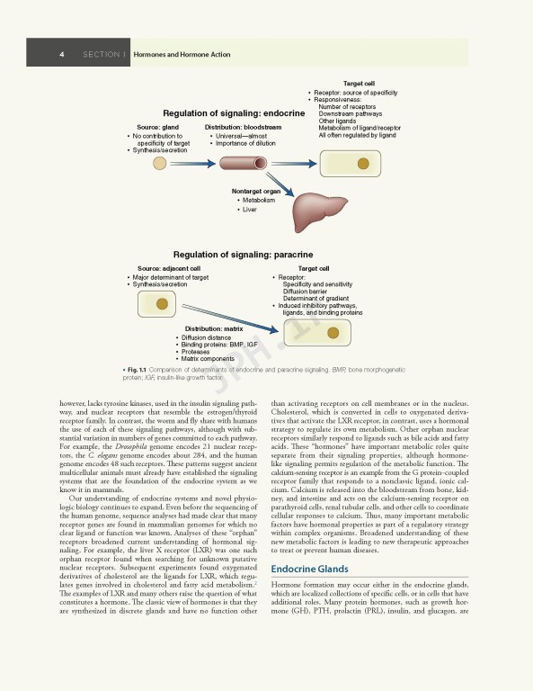 اندوکرینولوژی ویلیامز غدد Williams Textbook of Endocrinology | 2020