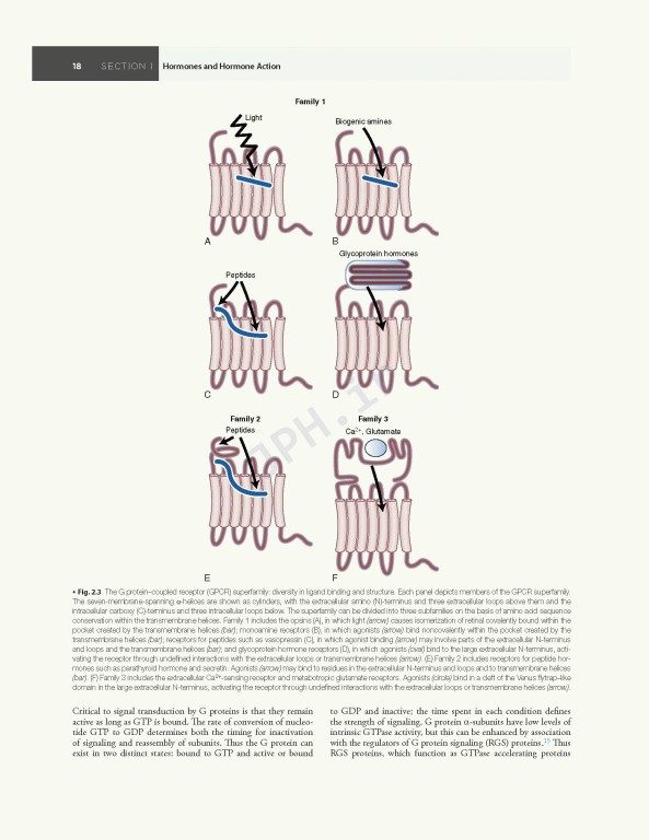 اندوکرینولوژی ویلیامز غدد Williams Textbook of Endocrinology | 2020