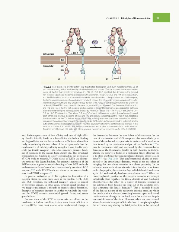اندوکرینولوژی ویلیامز غدد Williams Textbook of Endocrinology | 2020