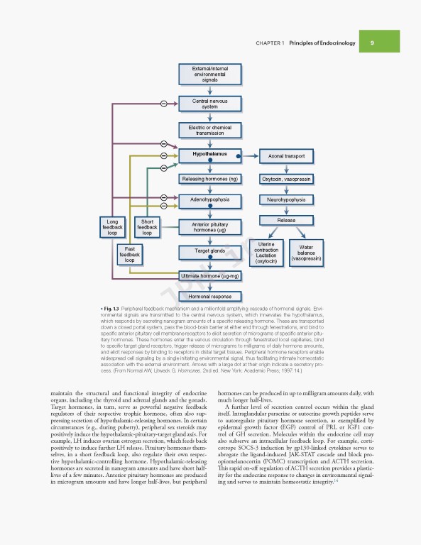 اندوکرینولوژی ویلیامز غدد Williams Textbook of Endocrinology | 2020