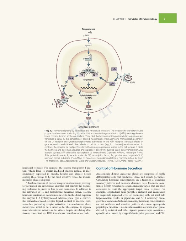 اندوکرینولوژی ویلیامز غدد Williams Textbook of Endocrinology | 2020