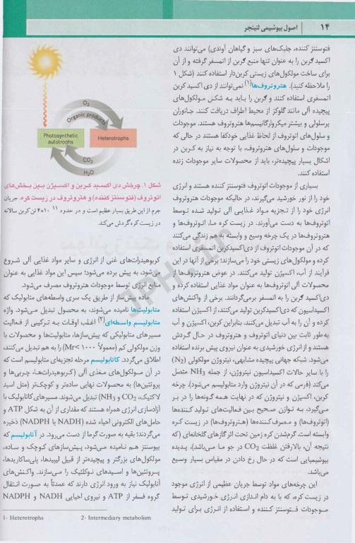 اصول بیوشیمی لنینجر 2021 جلد دوم 5 استاد