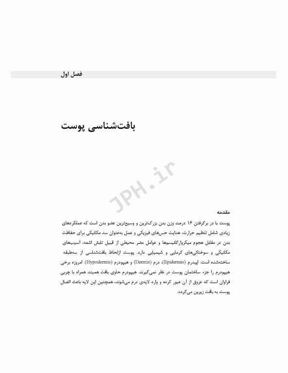 مهندسی بافت پوست