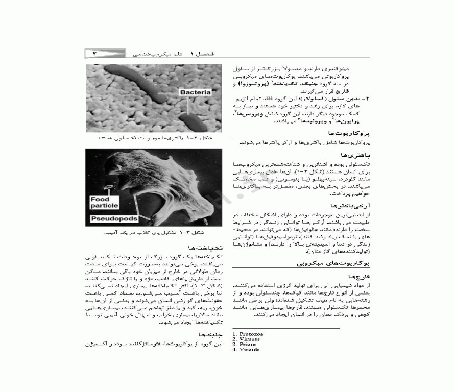 میکروب‌شناسی برای دانشجویان پرستاری، مامایی و اتاق عمل