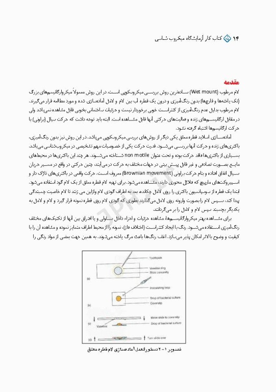 کتاب کار آزمایشگاه میکروب شناسی