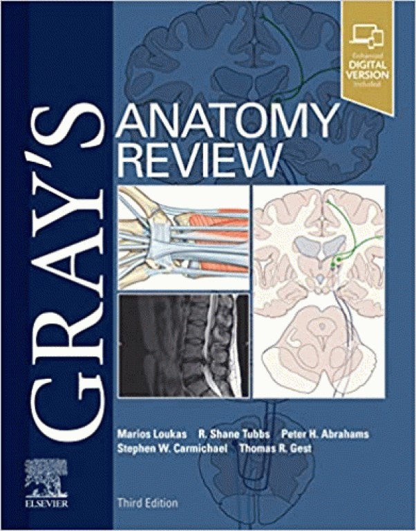 مرور آناتومی گری 2021 | Gray's Anatomy Review