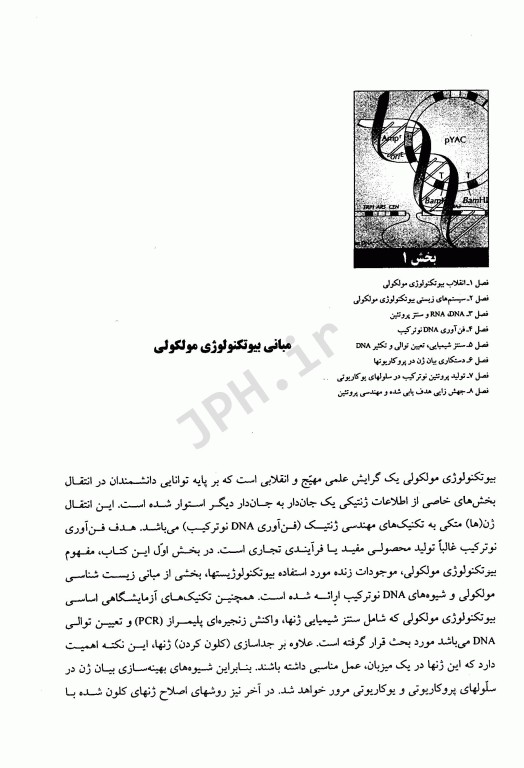 بیوتکنولوژی مولکولی اصول و کاربرد DNA نوترکیب جلد اول علوم پزشکی مشهد