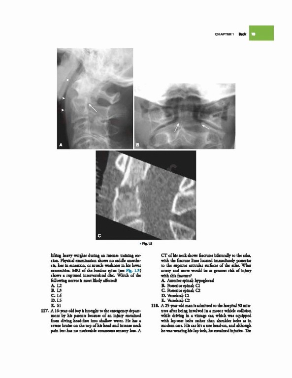 مرور آناتومی گری 2022 | Gray's Anatomy Review
