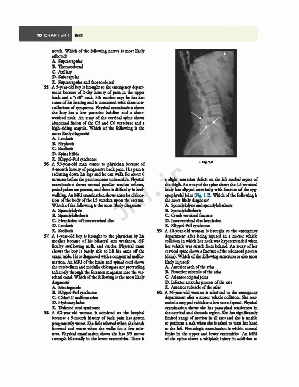 مرور آناتومی گری 2022 | Gray's Anatomy Review