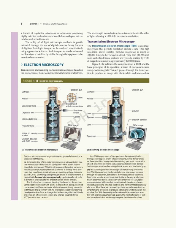 بافت شناسی پایه جان کوئیرا 2021 | Junqueira's Basic Histology 6th edition