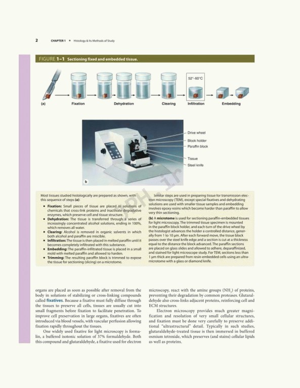 بافت شناسی پایه جان کوئیرا 2021 | Junqueira's Basic Histology 6th edition