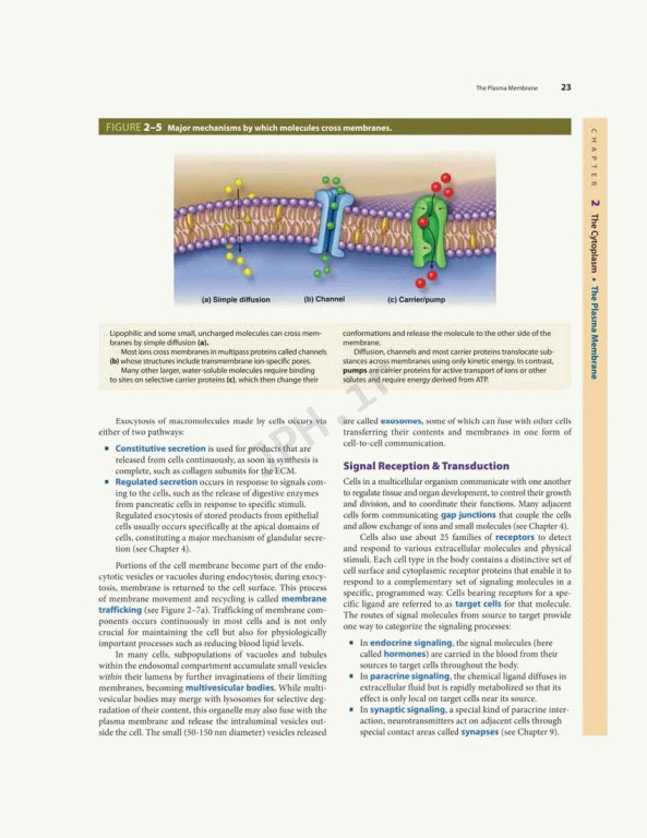 بافت شناسی پایه جان کوئیرا 2021 | Junqueira's Basic Histology 6th edition