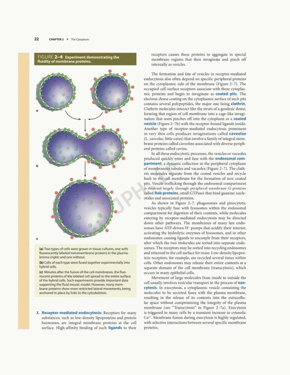 بافت شناسی پایه جان کوئیرا 2021 | Junqueira's Basic Histology 6th edition