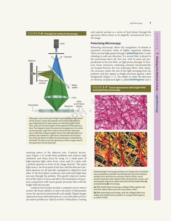 بافت شناسی پایه جان کوئیرا 2021 | Junqueira's Basic Histology 6th edition