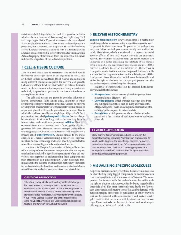بافت شناسی پایه جان کوئیرا 2021 | Junqueira's Basic Histology 6th edition