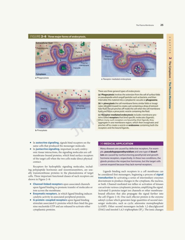بافت شناسی پایه جان کوئیرا 2021 | Junqueira's Basic Histology 6th edition