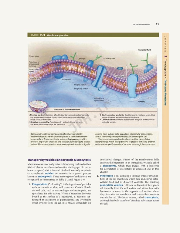 بافت شناسی پایه جان کوئیرا 2021 | Junqueira's Basic Histology 6th edition