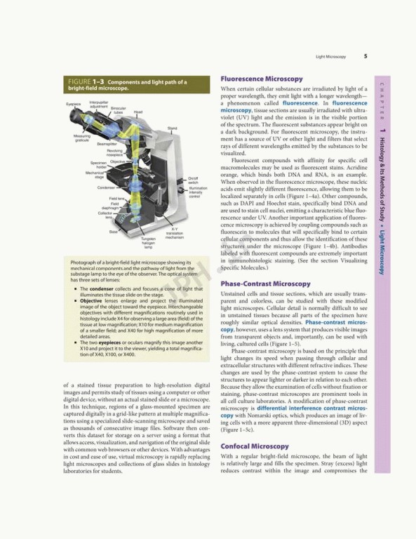 بافت شناسی پایه جان کوئیرا 2021 | Junqueira's Basic Histology 6th edition