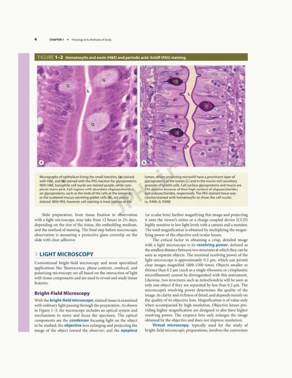 بافت شناسی پایه جان کوئیرا 2021 | Junqueira's Basic Histology 6th edition