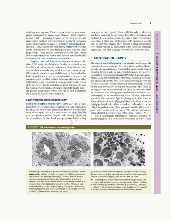 بافت شناسی پایه جان کوئیرا 2021 | Junqueira's Basic Histology 6th edition