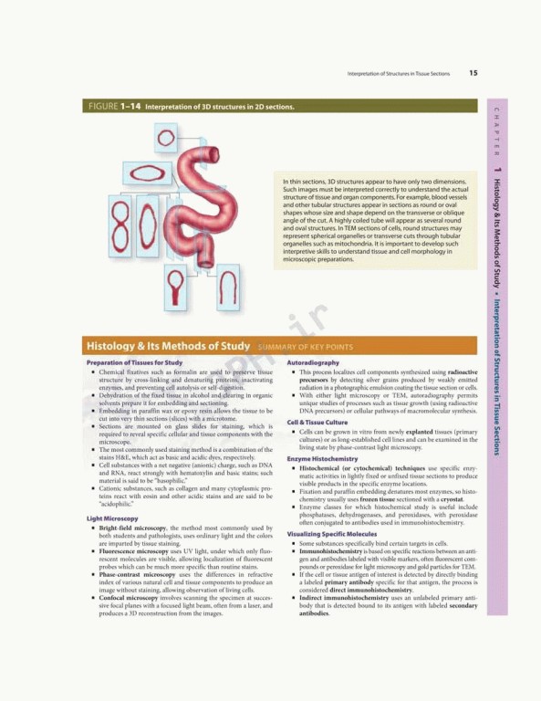 بافت شناسی پایه جان کوئیرا 2021 | Junqueira's Basic Histology 6th edition