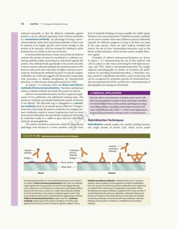 بافت شناسی پایه جان کوئیرا 2021 | Junqueira's Basic Histology 6th edition