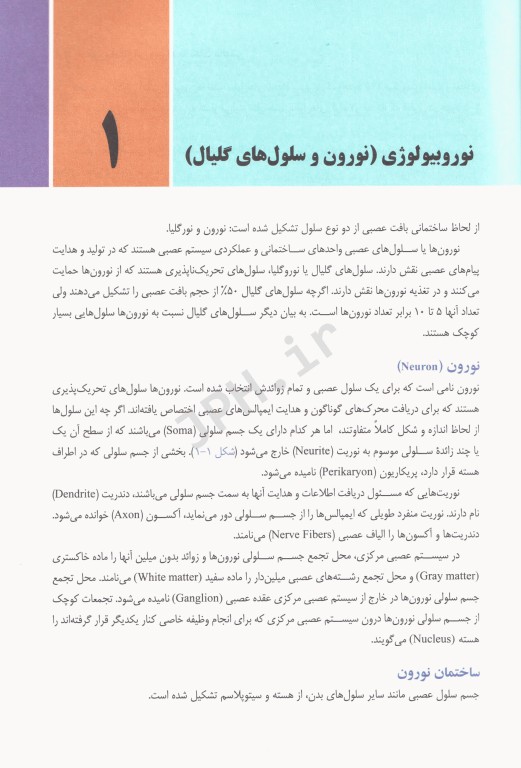 نوروآناتومی همراه با نکات بالینی دکتر اکبری