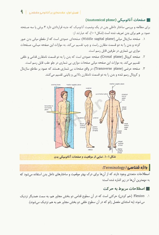 آناتومی مقطعی اندام‌ها و مفاصل همراه با آموزش تصاویر CT scan و MRI