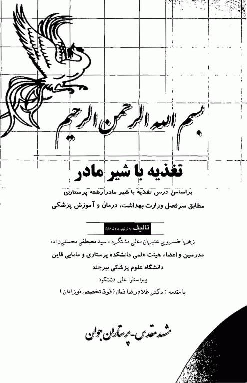 تغذیه با شیر مادر پرستاران جوان