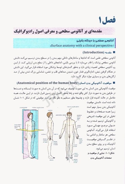 آناتومی سطحی بدن همراه با آموزش تصاویر رادیولوژی